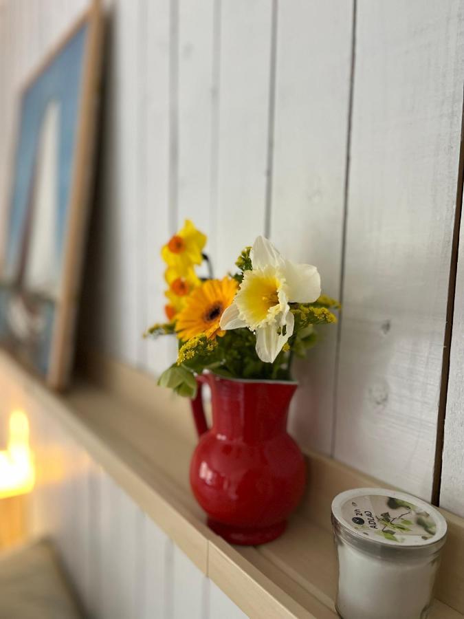 Beemster Tiny House Bed & Breakfast Zuidoostbeemster Luaran gambar